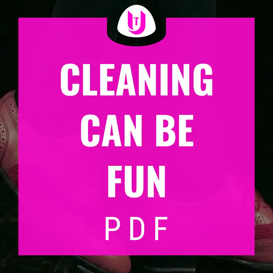 Cleaning Can be Fun PDF cover